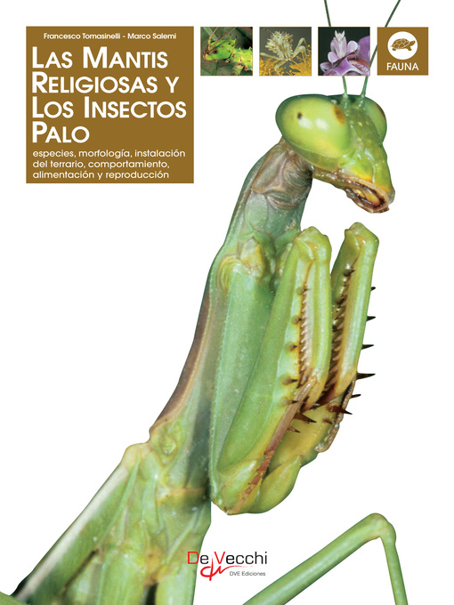 Title details for La mantis religiosa y los insectos palo by Francesco Tomasinelli - Available